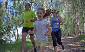 Bridge run through forest