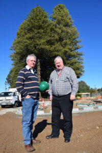 Historic trees to go