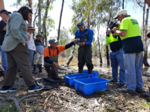 Funds flow in Gannawarra for healthy rivers program