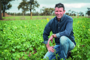 War widens within VFF
