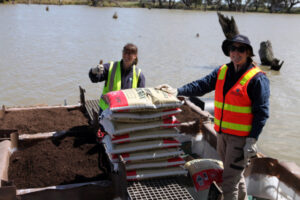 Floating islands to be turtles’ happy place