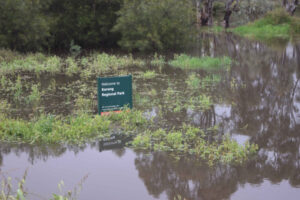 Rivers to rise again
