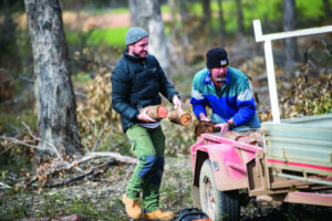 Firewood season ends
