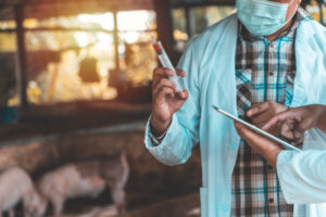 Moves to prepare for disease outbreak