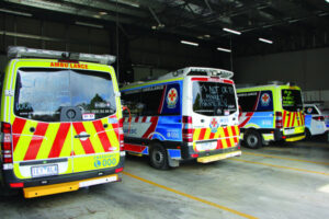 Ambo demand up 5.5 per cent