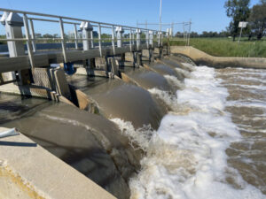 Fish superhighway work set for leap ahead