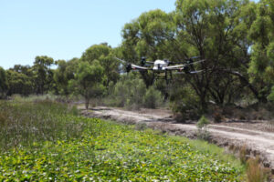 Drone is a weed-killer