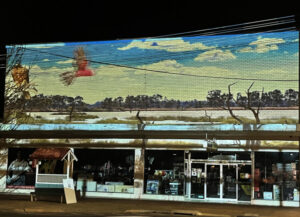 2022 in Review – July – Kerang streets lit up for light festival