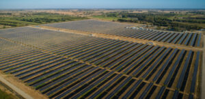 Best use of sun and land at Cohuna Solar Farm