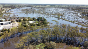 2022 in Review – November – Soggy month brings an October rain record
