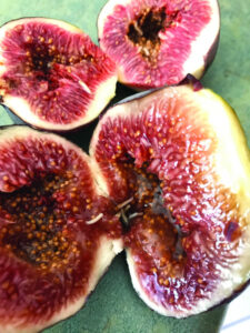 Remain vigilant in fruit fly fight