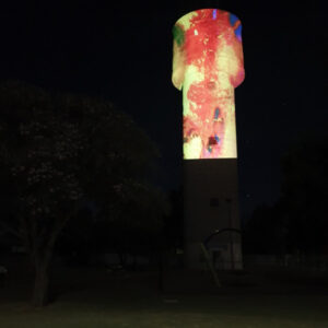 Kerang’s Living World lights up the town