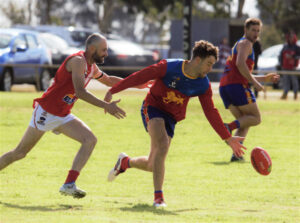 Hay roar into decider