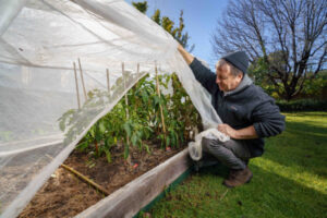 Consider pest damage