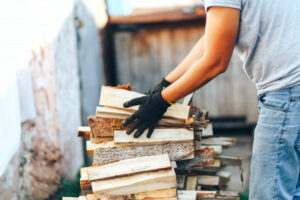 Limited firewood collection from forests to ensure sustainable into future