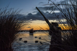 Feather in cap for duck hunters