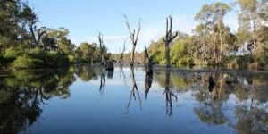 System ready as creek fills