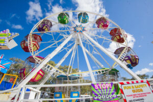Summer of fun