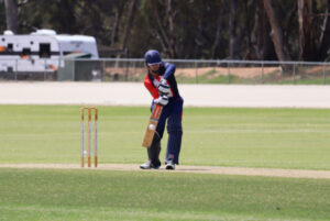 Grinham leads Demons to victory