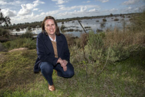 Levees pose ‘serious risk’, says MP