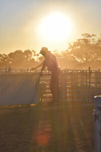 Biosecurity levy plea