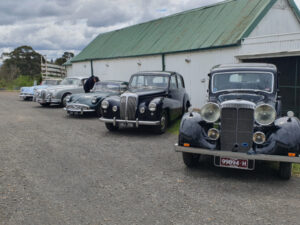 Daimlers on display