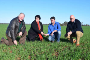 Farm leadership role