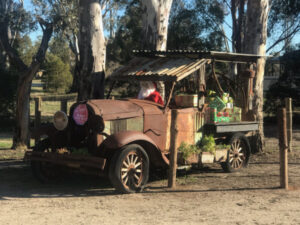 Murrabit Country Market set for December 5 comeback