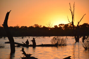 Duck harvest numbers surge