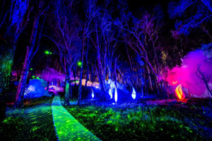 Moama Lights out