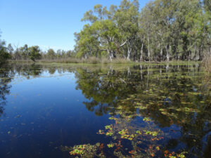 Water for wetlands