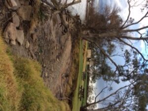 Swamp erosion concerns users