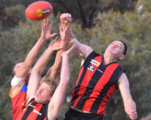 GRFL – Loss hurts Lions’ hopes