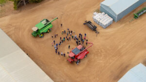 Get set for harvest