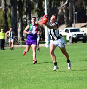 Kangas tame cold Pies