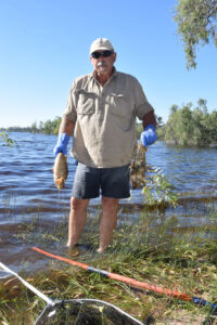 Clean-up begins, fish deaths blamedon oxygen loss