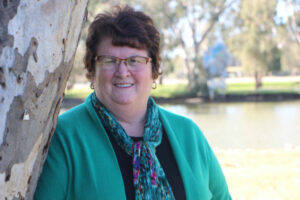 Shire mayor will seek re-election