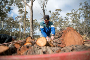 Firewood season opens