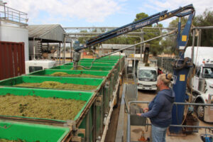 Wine stock levels increase