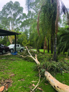 Storm lashes border towns