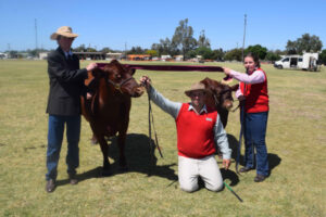 Entertaining border show