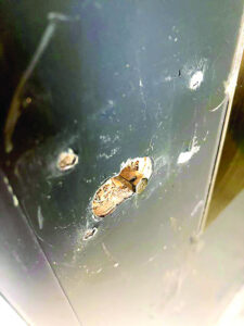 New toilet blocks vandalised
