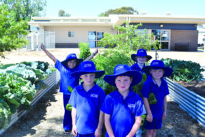 Community garden thrives