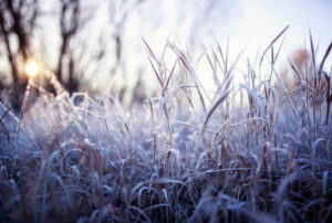 Crisp start is low temperature for the month