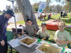 Low carp catch a success