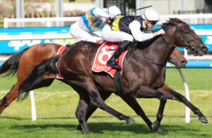 Landmark victory for McNeil