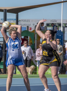 Pies facing a challenge