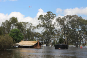 Contribute to flood exhibition