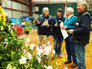 Kerang prepares for orchid extravaganza