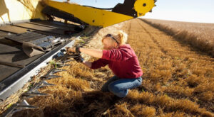 Ag workforce grows